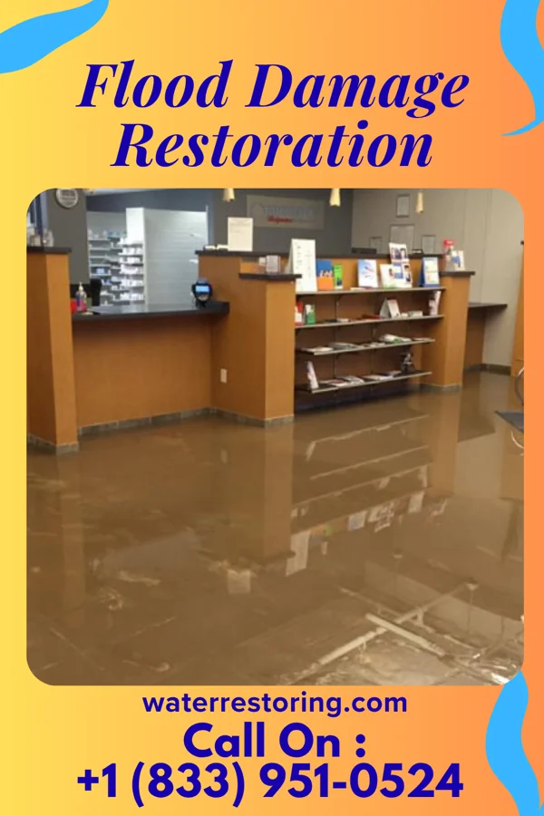 Flood Damage Restoration in Curran, IL