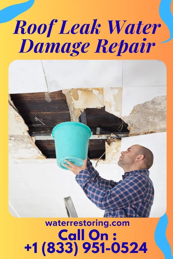 Roof Leak Water Damage Repair in Curran, IL