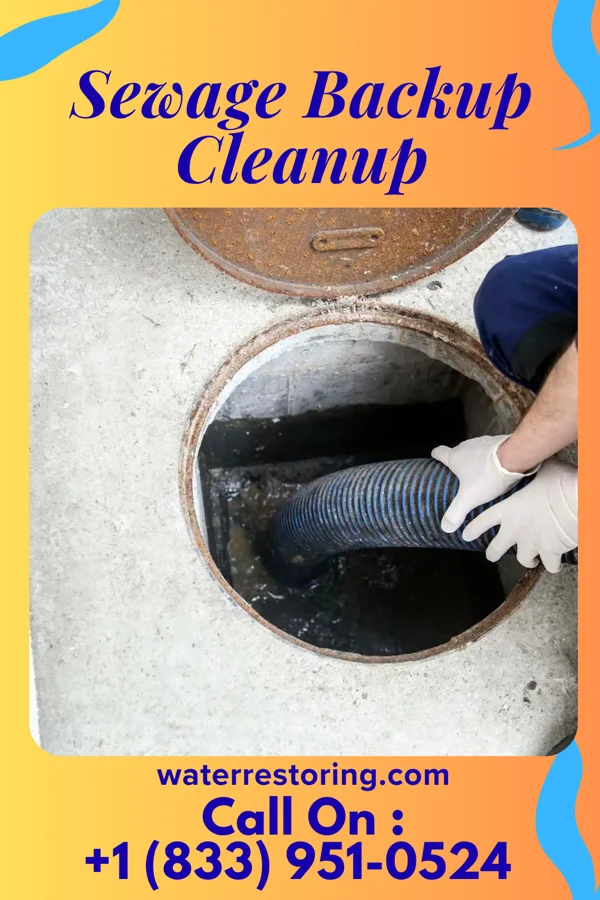 Sewage Backup Cleanup in Curran, IL